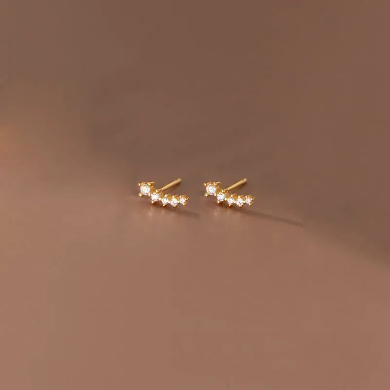 Elegante, feine Ohrringe, mit glitzernden Steinen